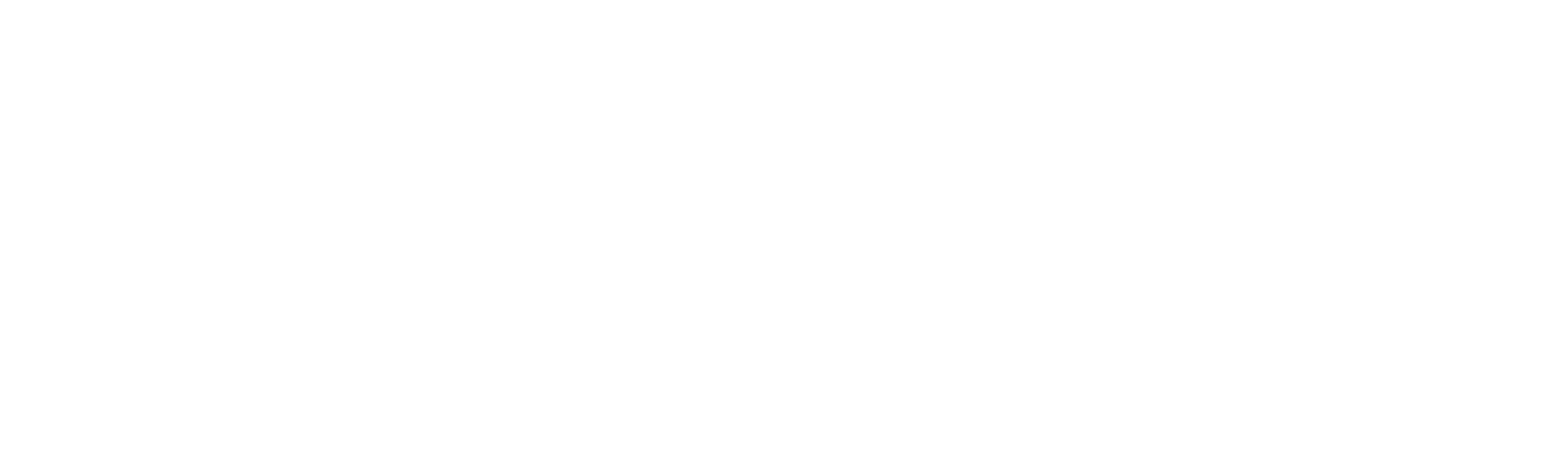 Web Kurumsal